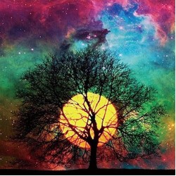 LAST DAY 80% OFF-Colorful Space Tree