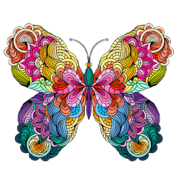LAST DAY 80% OFF-Butterfly Colorful Edition(Limited Time Special)
