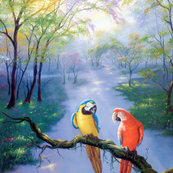 LAST DAY 80% OFF-Colors of rainbow Parrots