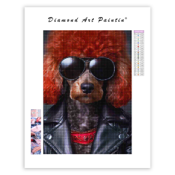LAST DAY 80% OFF-A poodle dog wore sunglasses