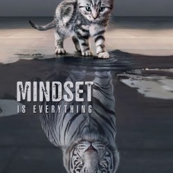 LAST DAY 80% OFF-Cat and Tiger Mindset Is Everything