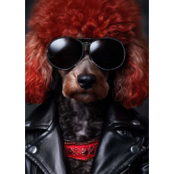 LAST DAY 80% OFF-A poodle dog wore sunglasses